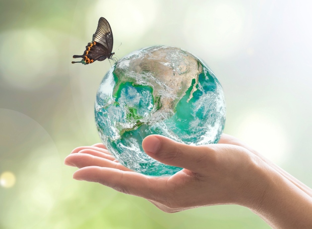 Two hands hold the representation of the Earth with a butterfly