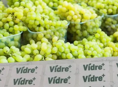 vidre+ packaged grapes image