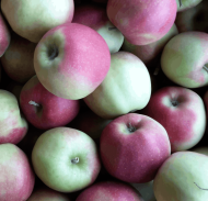 Small image of a bunch of apples